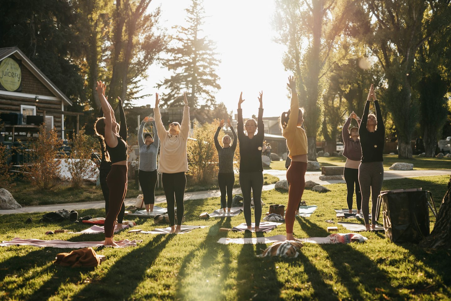 Women practice yoga outdoors on a sunny lawn.